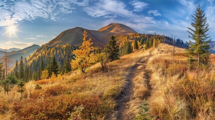 Fototapeta premium landscape forest with mountains and fog. grass field wallpaper. landscape forest with fog wallpaper. landscape mountains with fog wallpaper. forest with fog background. Fantasy landscape forest.