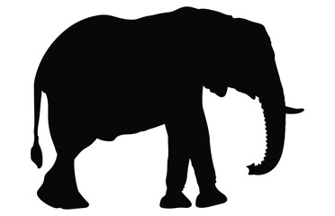 African Elephant Animal silhouette, Wild African Elephant Silhouette
