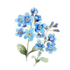 Obraz premium An illustration of a blue flower with yellow stamen