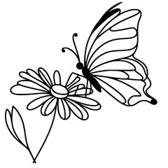 Obraz premium butterfly on a flower
