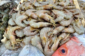 Raw prawn shrimps on ices isolated on horizontal ratio fish market table display background.