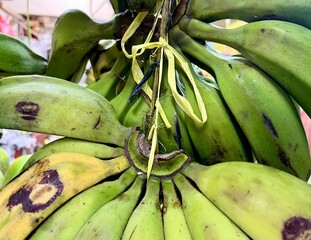 Green unripe banana fruit groups hanging in fruit market store environment horizontal background.