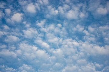 Floating clouds in the sky on a clear day. White clouds on the blue sky in summer. Lots of fluffy clouds in the sky. 