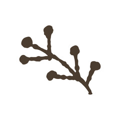 手描き風の木の実のアイコン