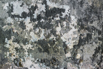 Gray Paint Layer Peeling Off From An Old Industrial Concrete Broken Wall. Camouflage Pattern
