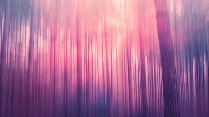 Realistic photography of coniferous forest. Abstract background of a northern forest