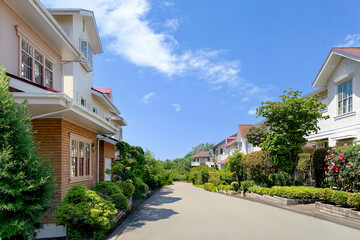 薔薇と新緑が青空に映える明るい住宅街