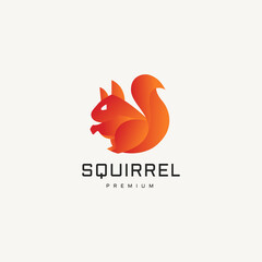 squirrel vector logo design illustration