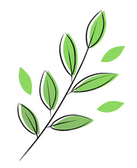 tea leaf　⑤