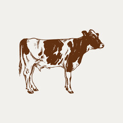 Cow hand drawn illustration vector