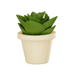 Elegant Greenery of Succulent Plant for Home and Office Decor. 3D Render