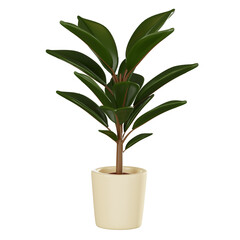 Modern Botanical Decor of Rubber Plant in Stylish Pot. 3D Render