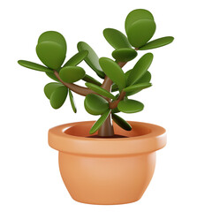 Elegant Greenery Realistic Jade Plant Pot for Stylish Interior Decor. 3D Render