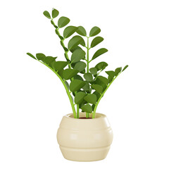 Botanical Elegance of zz Plant Home Decor Icon. 3D Render