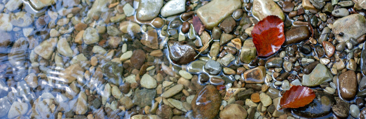 Pebbles and colored pebbles in water close-up. Stones of different sizes on the shore, top view. Stones on the river bank, close-up top view. Pebbles on the shore on a sunny summer day.