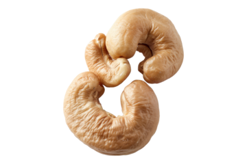 Cashew Descending isolated on white background