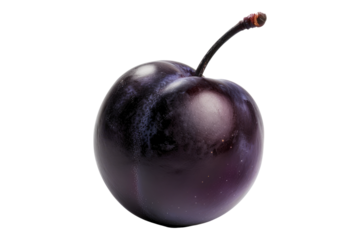 Damson plum fruit isolated on white background