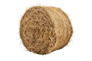 Hey Stack isolated on white background