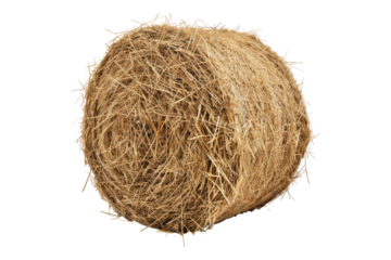 Hey Stack isolated on white background