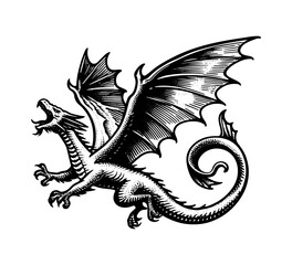 Wyvren Dragon Hand Drawn vector illustration