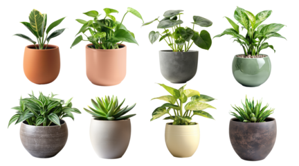 set of green plant potted in flower pot cutout