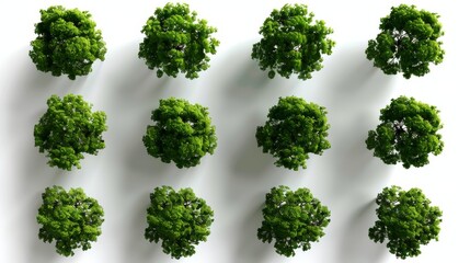 Green space illustration collection. 8 bit garden on white background.