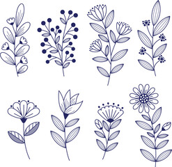 Hand drawn vector line art illustration. Floral plant. wedding, birthday, beauty products templates.