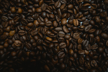 Colorful background with coffee beans in close-up