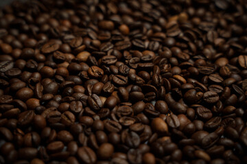 Colorful background with coffee beans in close-up