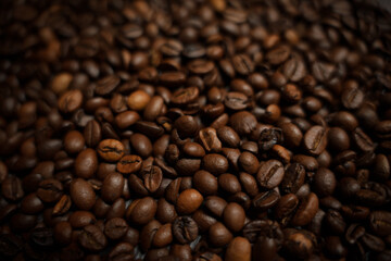 Colorful background with coffee beans in close-up