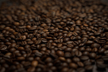 Colorful background with coffee beans in close-up