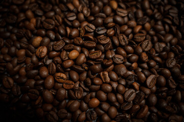 Colorful background with coffee beans in close-up