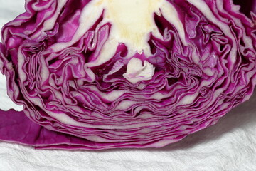 Obraz premium red cabbage on a white background