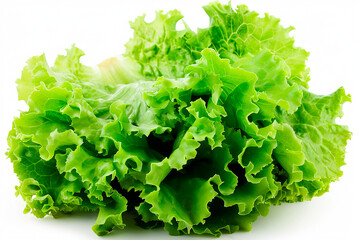 A bunch of green lettuce is on a white background