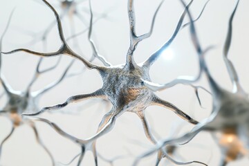 Obraz premium Realistic photograph of a complete Neurons,solid stark white background, focused lighting