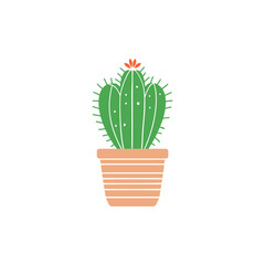 simple illustration of cactus plant on the pot