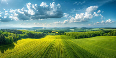 Rolling green hills under a bright blue sky with fluffy clouds and golden sunlight, creating a serene and picturesque rural landscape that stretches into the horizon.
