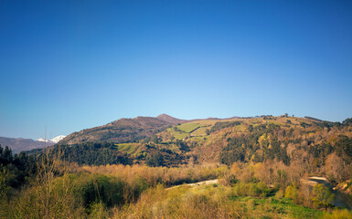 Naklejka premium Mountain slope with trees and clear blue sky on a sunny day. Mountain landscape
