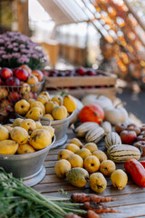 Ernte aus dem eigenen Garten im Herbst