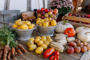 Ernte im Herbst aus dem eigenen Garten