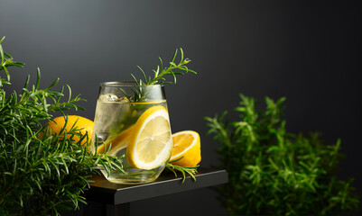 Refreshing drink with ice, lemon slices, and rosemary.