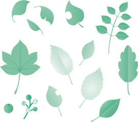夏　緑　葉　シルエット　飾り　あしらい　イラスト素材セット
