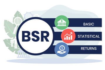 BSE, BASIC STATISTICAL RETURNS acronym. Concept with keyword and icons. Flat vector illustration. Isolated on white.