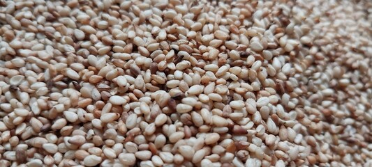 Fototapeta premium sesame seeds