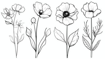 Four of black and white flowers in line style. Doodle