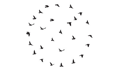 Obraz premium Flying Birds Vector And Illustration. 