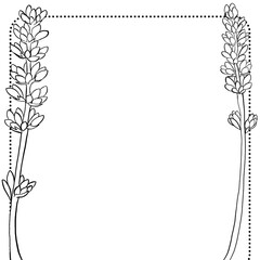 Decorative frames with floral and ornament designs for invitations, cards, or wall decor