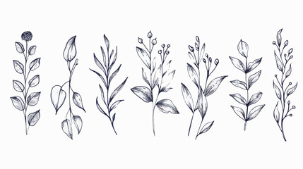 Hand drawn line floral element. Doodle leaf elements