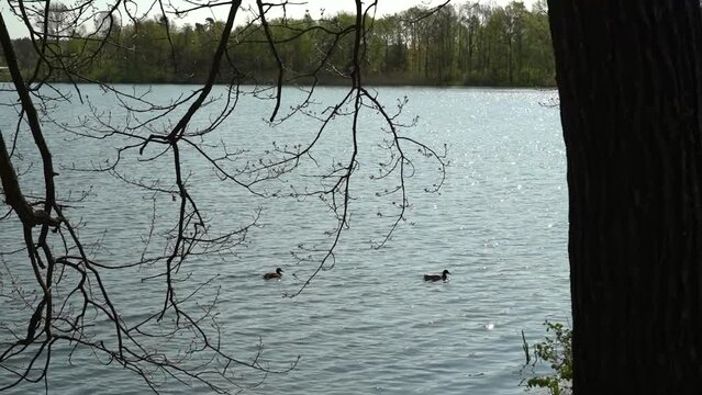 Das Pfahlhaus am Plothener Teich
