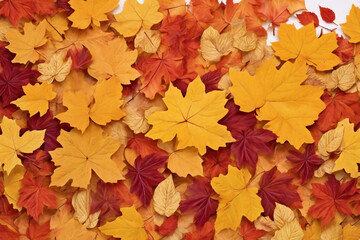 Background with beautiful autumn leaves, Banner, wallpaper